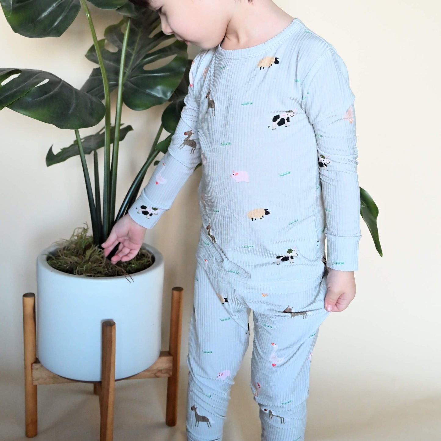 toddler boy in farm animal print pjs standing next to plant