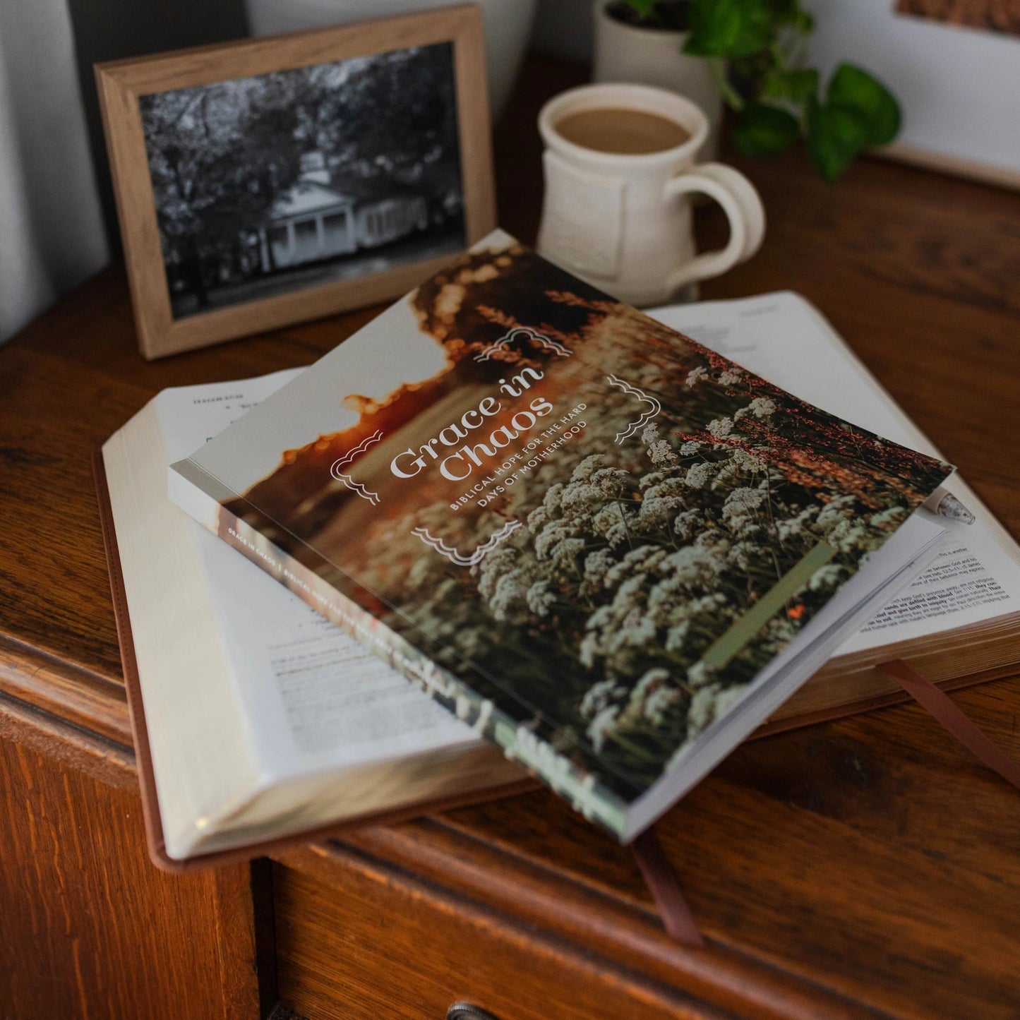 Grace in Chaos | Biblical Hope For the Hard Days of Motherhood - Little Venture Co.