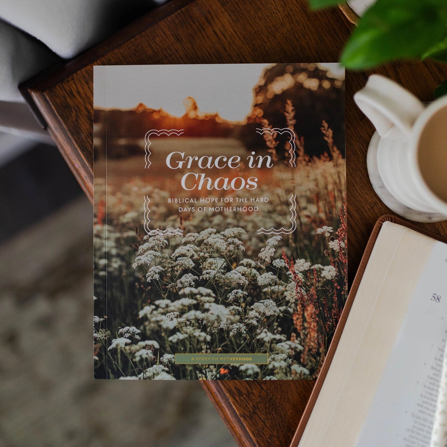 Grace in Chaos | Biblical Hope For the Hard Days of Motherhood - Little Venture Co.