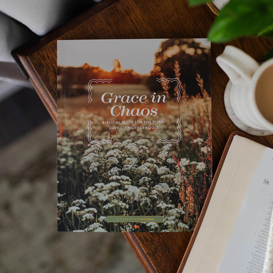 Grace in Chaos | Biblical Hope For the Hard Days of Motherhood - Little Venture Co.