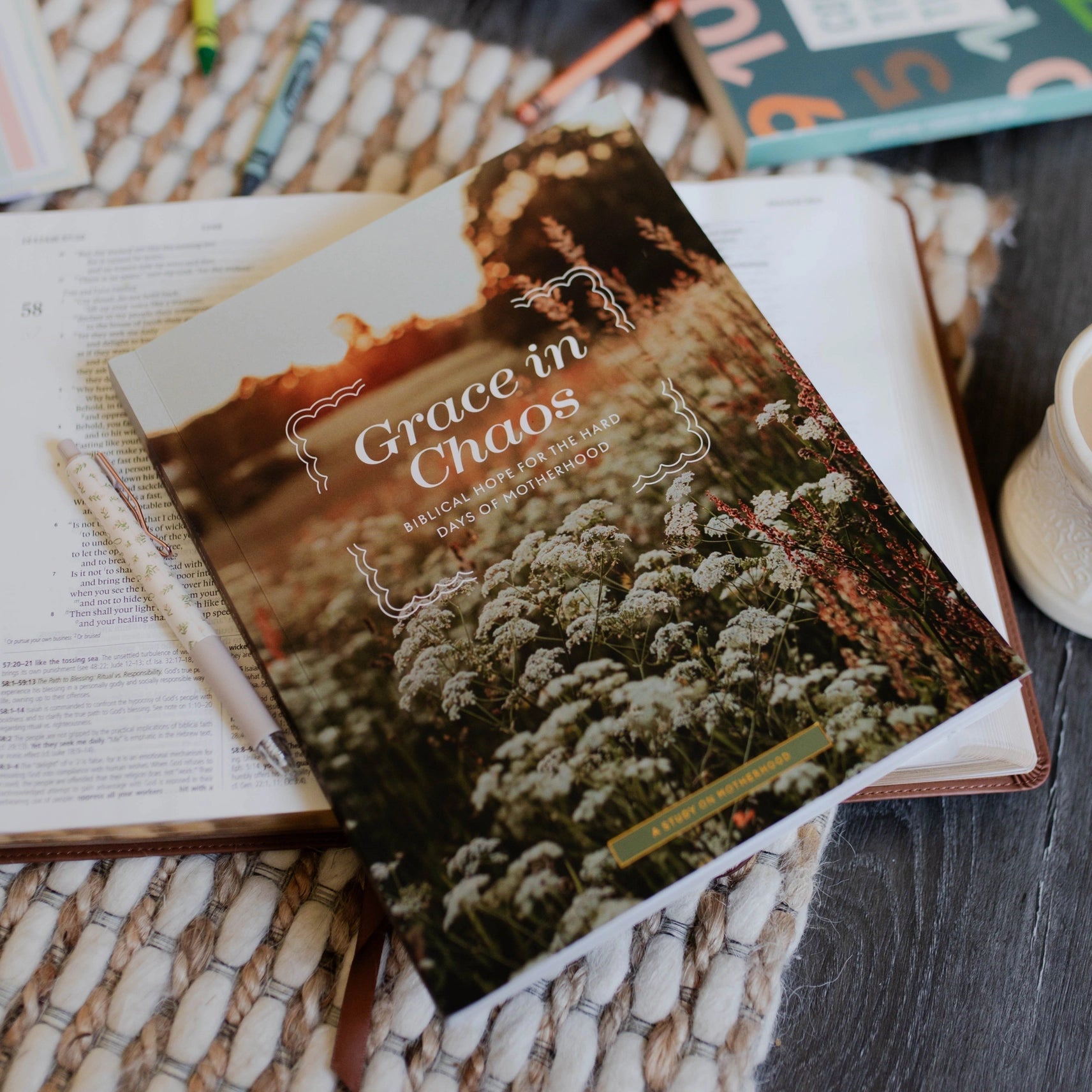 Grace in Chaos | Biblical Hope For the Hard Days of Motherhood - Little Venture Co.