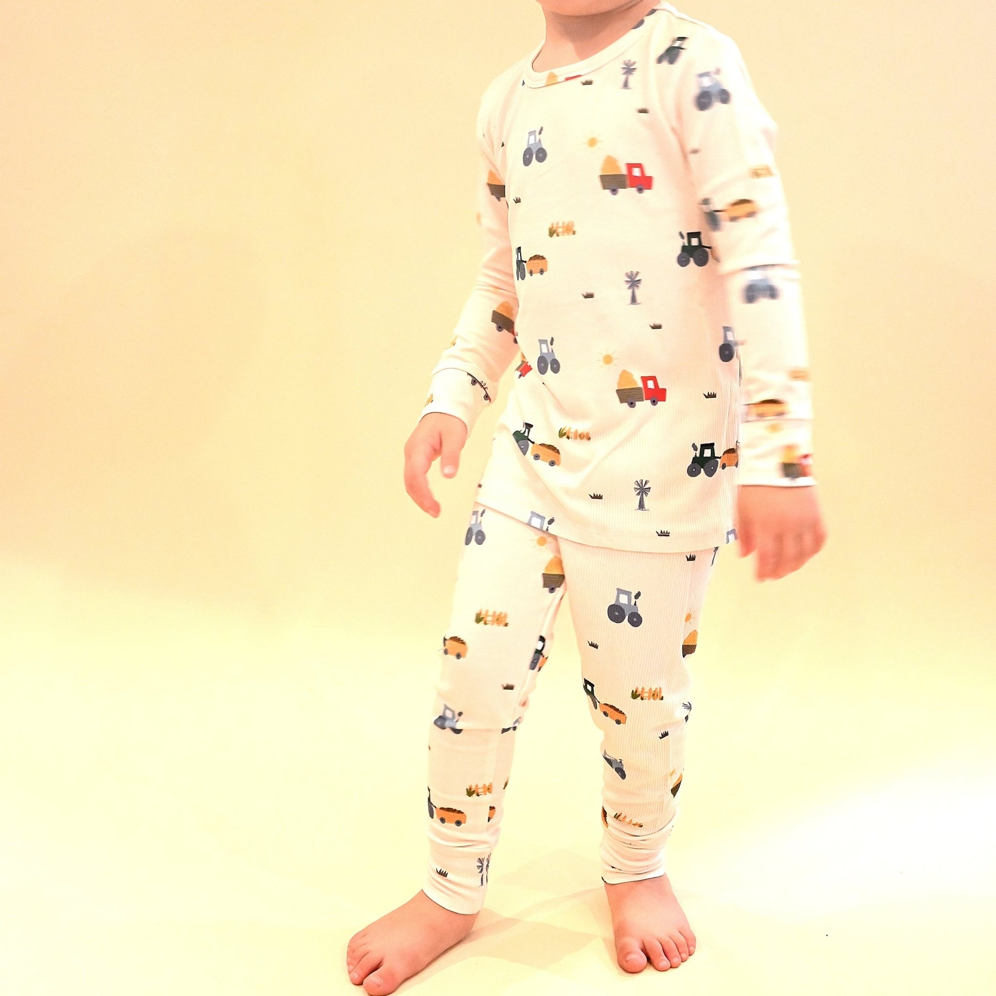 Harvest Two - Piece Pajamas - Little Venture Co.