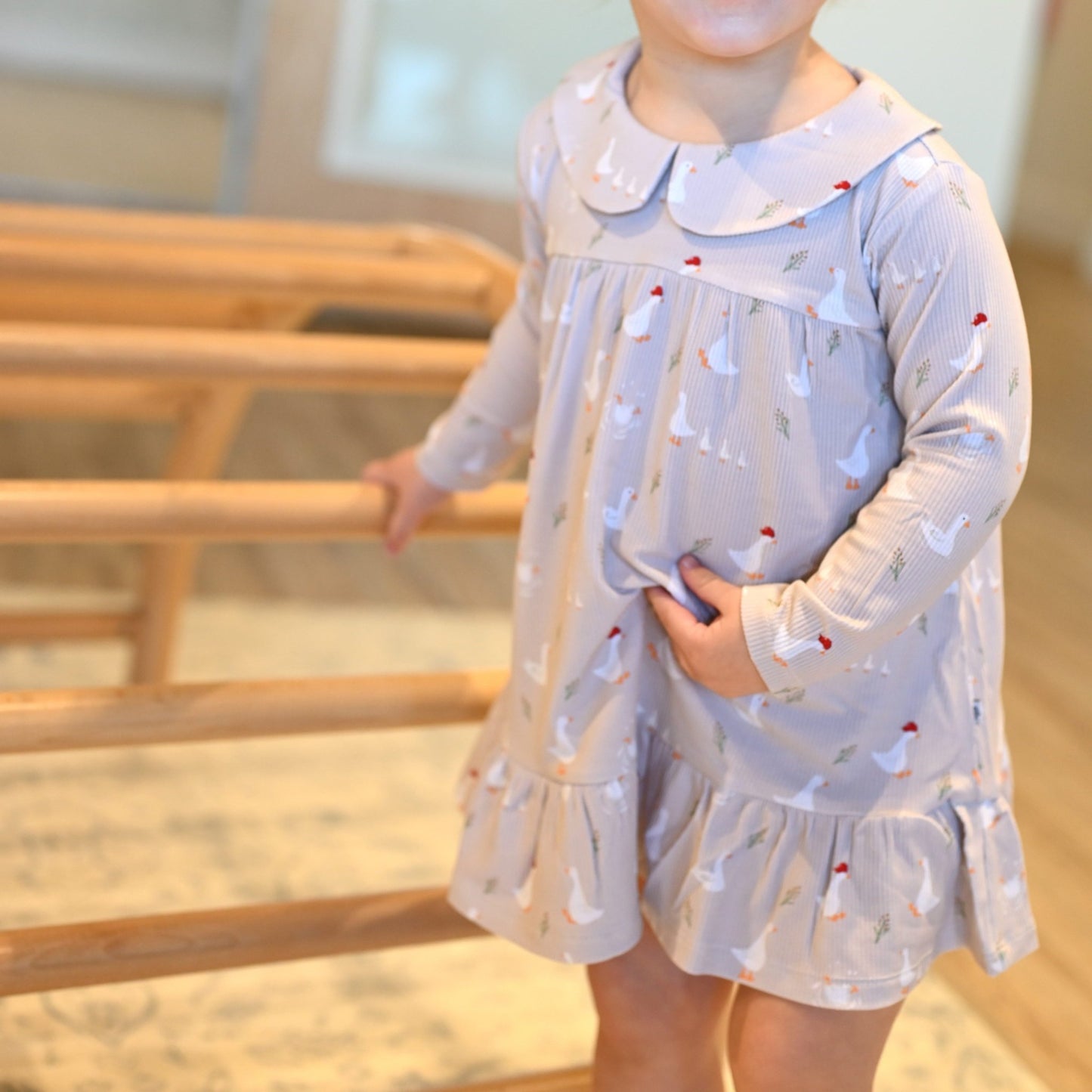 Silly Goose Gown - Little Venture Co.