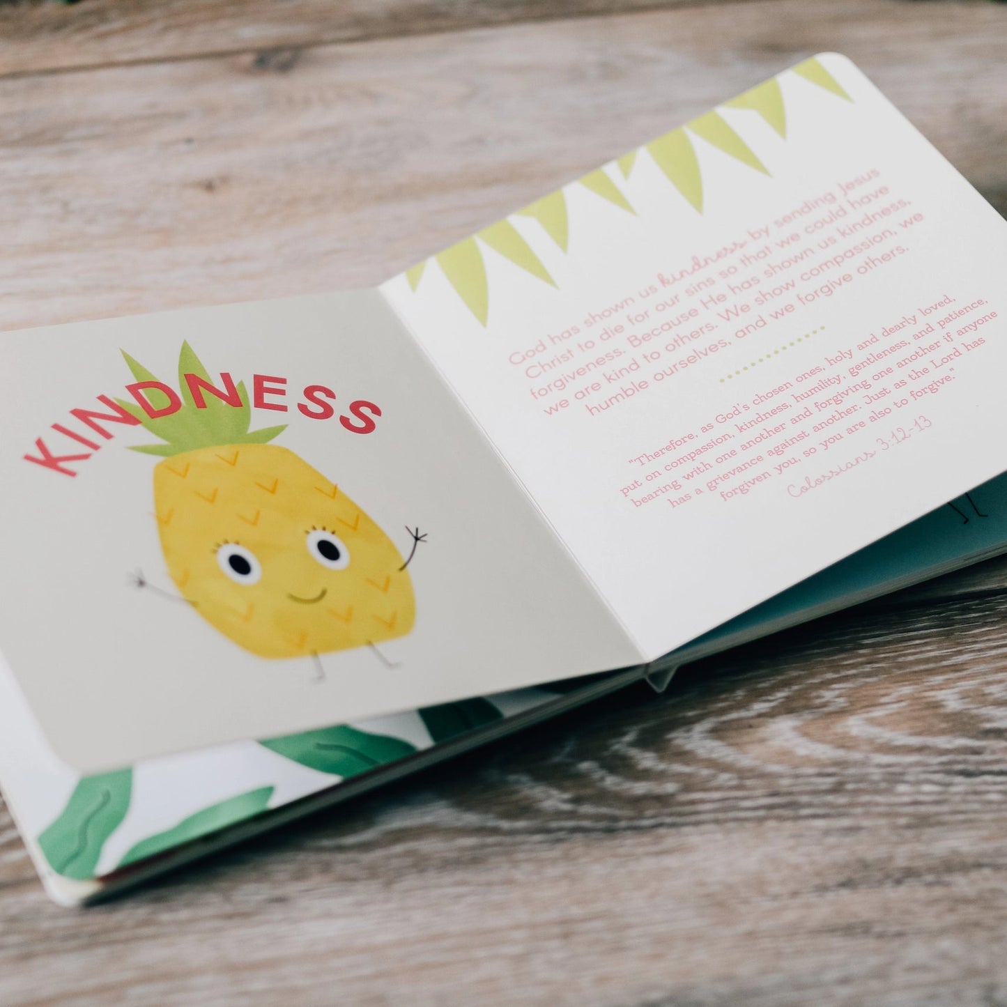 The Fruit of the Spirit Board Book - Little Venture Co.